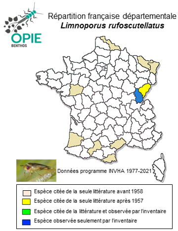Carte de distribution de Limnoporus rufoscutellatus (Latreille, 1807)