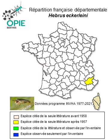 Carte de distribution de Hebrus eckerleini (Jordan, 1954)