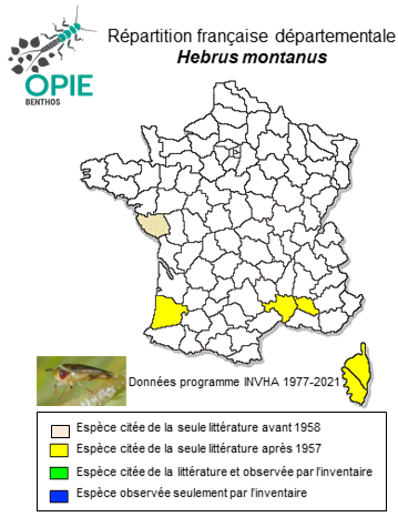 Carte de distribution de Hebrus montanus Kolenati, 1857