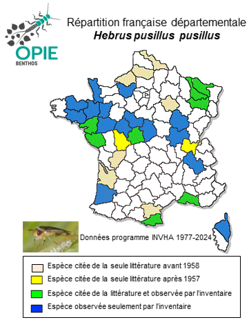 Carte de distribution de Hebrus pusillus pusillus (Fállen, 1807)