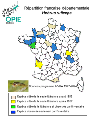 Carte de distribution de Hebrus ruficeps Thomson, 1871