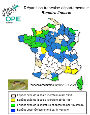 Carte de distribution de Ranatra linearis (Linnaeus, 1758)
