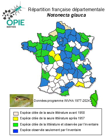 Carte de distribution de Notonecta glauca Linnaeus, 1758