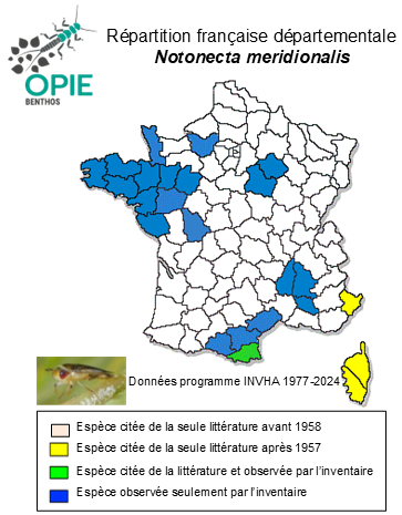 Carte de distribution de Notonecta meridionalis Poisson, 1926
