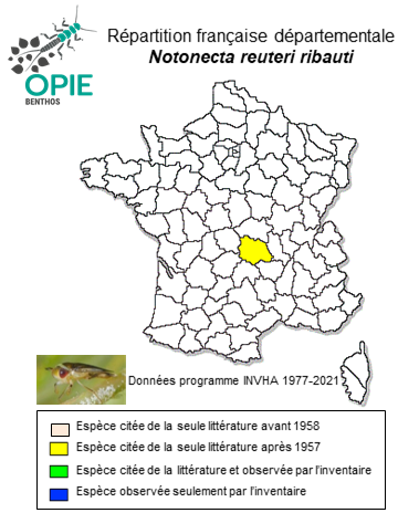 Carte de distribution de Notonecta reuteri ribauti Poisson, 1935