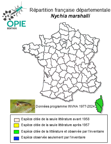 Carte de distribution de Nychia marshalli (Scott, 1872)