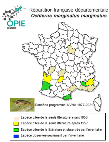 Carte de distribution de Ochterus marginatus marginatus (Latreille, 1804)