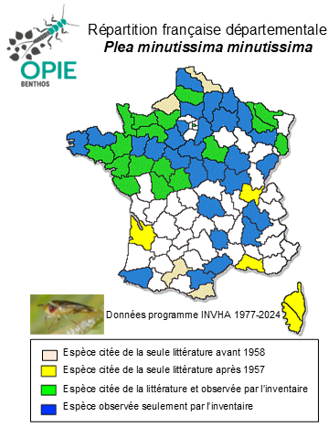 Carte de distribution de Plea minutissima minutissima Leach, 1817