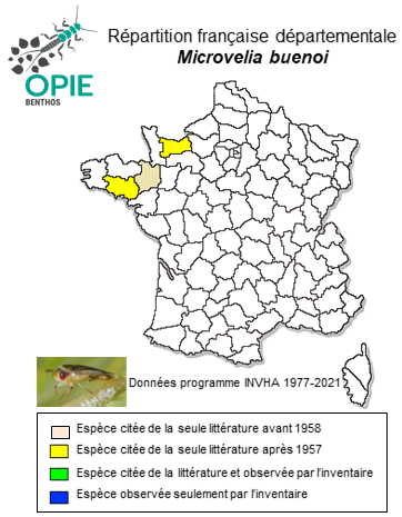 Carte de distribution de Microvelia buenoi Drake, 1920