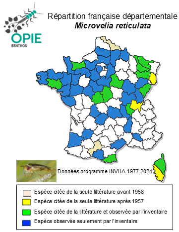 Carte de distribution de Microvelia reticulata (Burmeister, 1835)