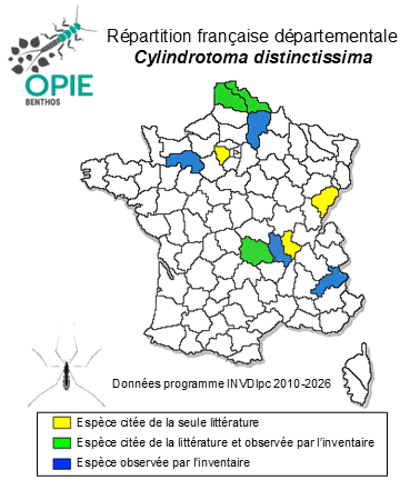 Carte de distribution de Cylindrotoma distinctissima (Meigen, 1818)