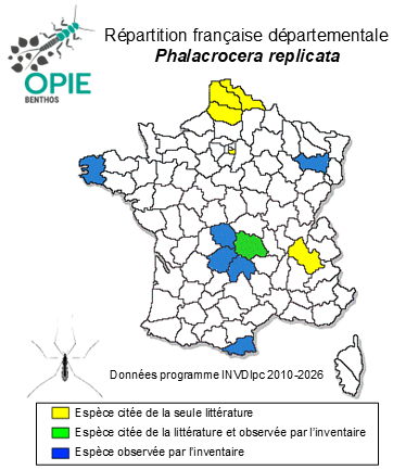 Carte de distribution de Phalacrocera replicata (Linnaeus, 1758)