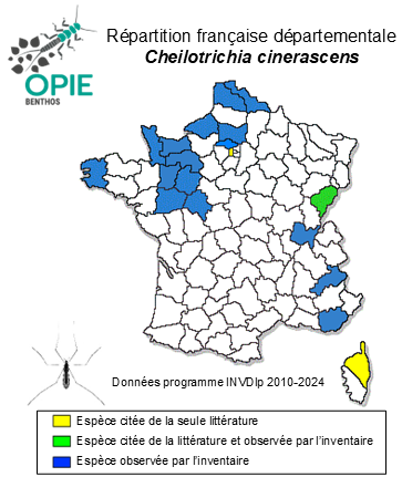 Carte de distribution de Cheilotrichia cinerascens (Meigen, 1804)