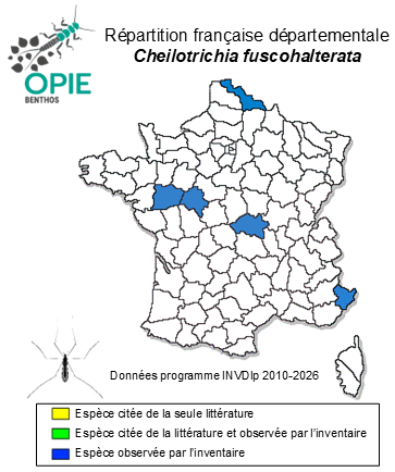 Carte de distribution de Cheilotrichia fuscohalterata (Strobl, 1906)