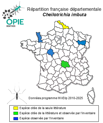Carte de distribution de Cheilotrichia imbuta (Meigen, 1818)