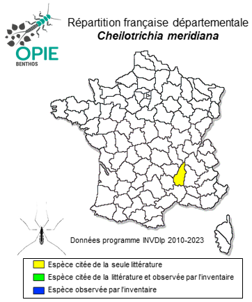 Carte de distribution de Cheilotrichia meridiana Mendl, 1974