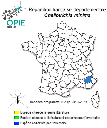 Carte de distribution de Cheilotrichia minima (Strobl, 1898)