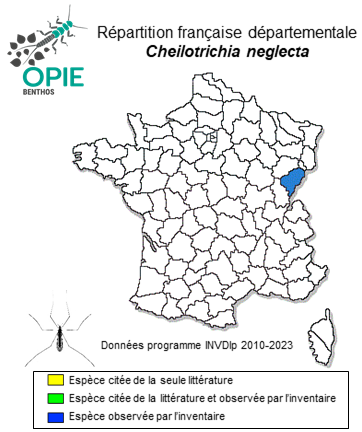 Carte de distribution de Cheilotrichia neglecta (Lackschewitz, 1927)
