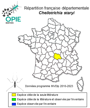 Carte de distribution de Cheilotrichia staryi Mendl, 1973