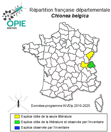 Carte de distribution de Chionea belgica (Becker, 1912)