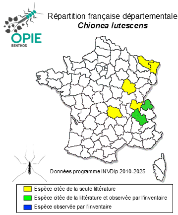 Carte de distribution de Chionea lutescens Lundström, 1907