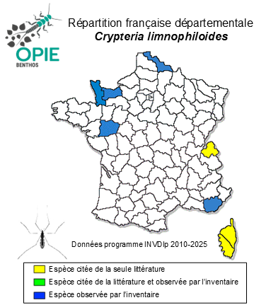 Carte de distribution de Crypteria limnophiloides Bergroth, 1913