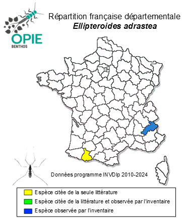 Carte de distribution de Ellipteroides adrastea Starý & Mendl, 1984