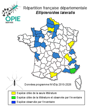 Carte de distribution de Ellipteroides lateralis (Macquart, 1835)