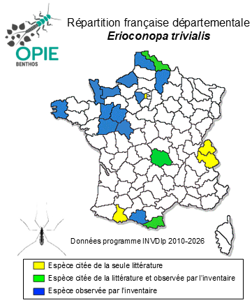 Carte de distribution de Erioconopa trivialis (Meigen, 1818)