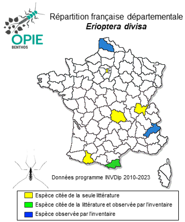 Carte de distribution de Erioptera divisa (Walker, 1848)