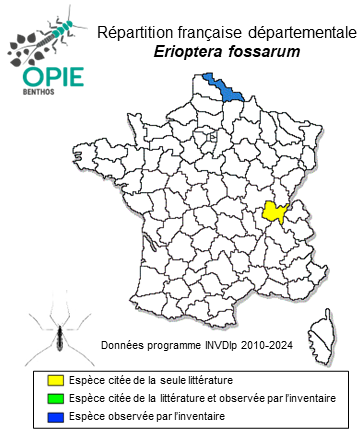 Carte de distribution de Erioptera fossarum (Loew, 1873)