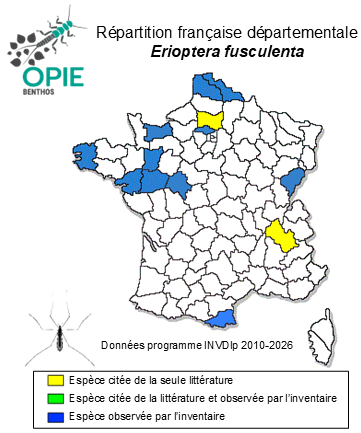 Carte de distribution de Erioptera fusculenta Edwards, 1938