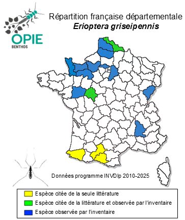 Carte de distribution de Erioptera griseipennis Meigen, 1838