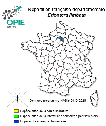 Carte de distribution de Erioptera limbata Loew, 1873