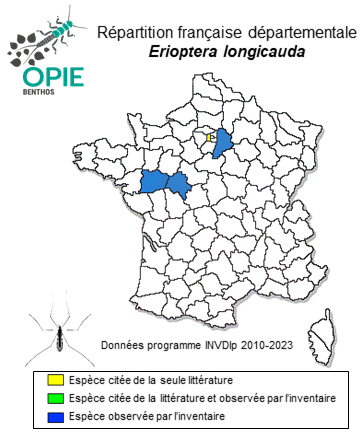 Carte de distribution de Erioptera longicauda Loew, 1871