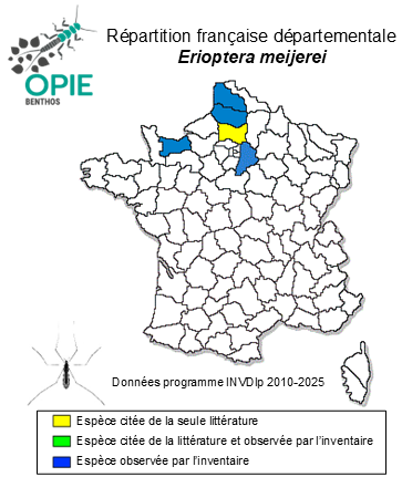 Carte de distribution de Erioptera meijerei Edwards, 1921