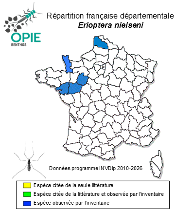 Carte de distribution de Erioptera nielseni de Meijere, 1921