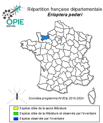 Carte de distribution de Erioptera pederi Tjeder, 1969