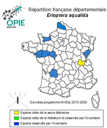 Carte de distribution de Erioptera squalida Loew, 1871