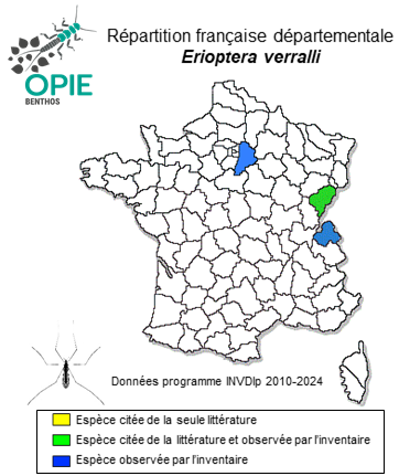Carte de distribution de Erioptera verralli Edwards, 1921