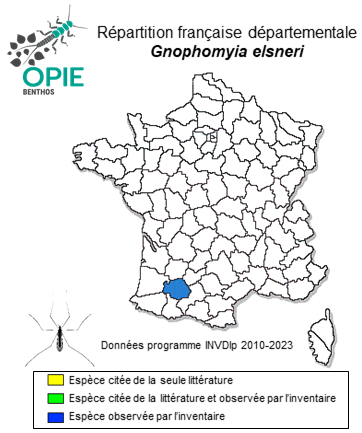 Carte de distribution de Gnophomyia elsneri Starý, 1983