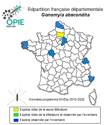 Carte de distribution de Gonomyia abscondita Lackschewitz, 1935