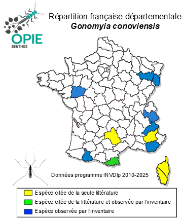 Carte de distribution de Gonomyia conoviensis Bames, 1924