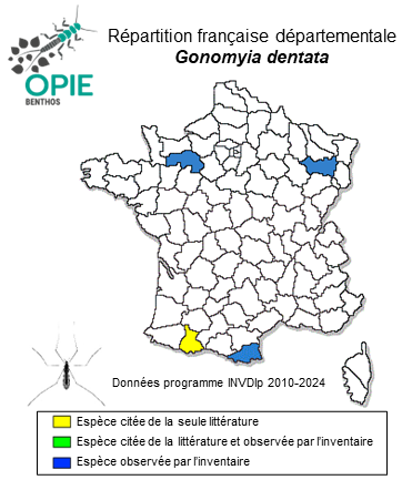 Carte de distribution de Gonomyia dentata de Meijere, 1920