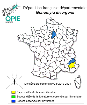 Carte de distribution de Gonomyia divergens Bangerter, 1947