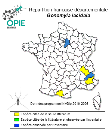 Carte de distribution de Gonomyia lucidula de Meijere, 1920