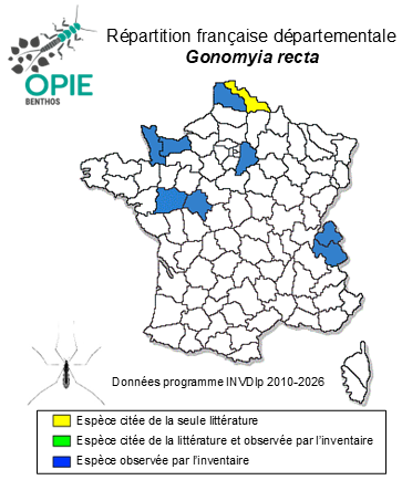 Carte de distribution de Gonomyia recta Tonnoir, 1920