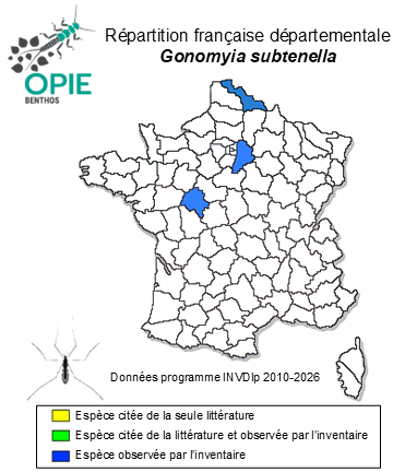Carte de distribution de Gonomyia subtenella Savchenko, 1972