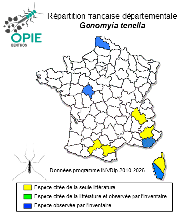 Carte de distribution de Gonomyia tenella (Meigen, 1818)