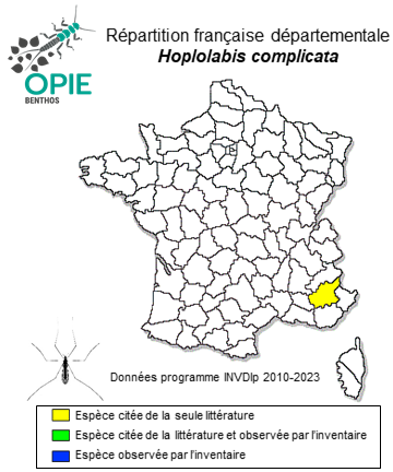Carte de distribution de Hoplolabis complicata (Bangerter, 1947)
